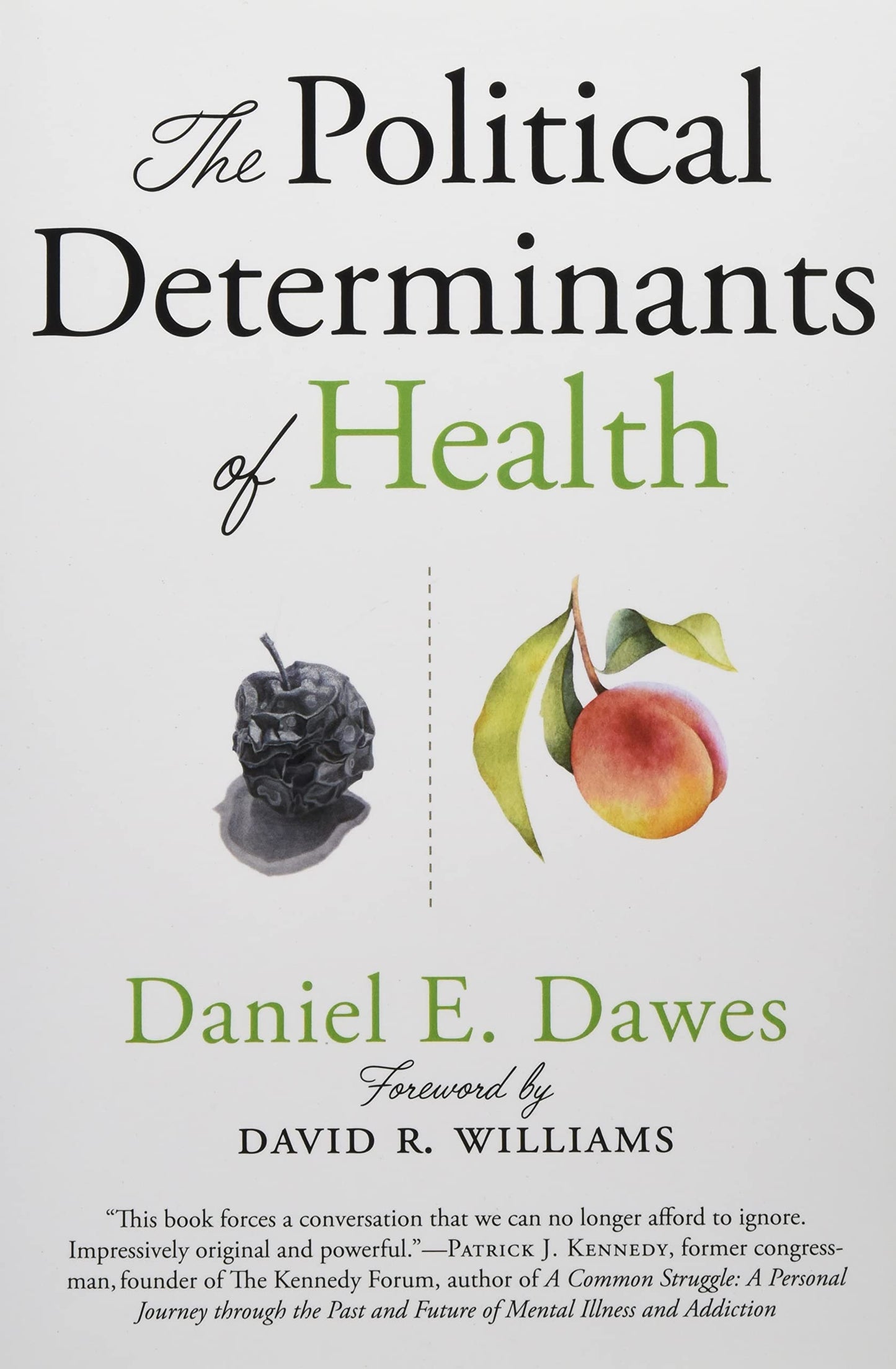 The Political Determinants of Health Paperback ISBN: 9781421437897